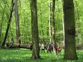 Lezczok 195